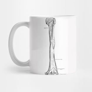 Antique Anatomy Papers Neck Gator Funny Bone Humerus Anatomy Mug